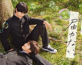 亚洲综合无码综合区海报剧照