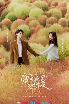 美女冬月枫海报剧照